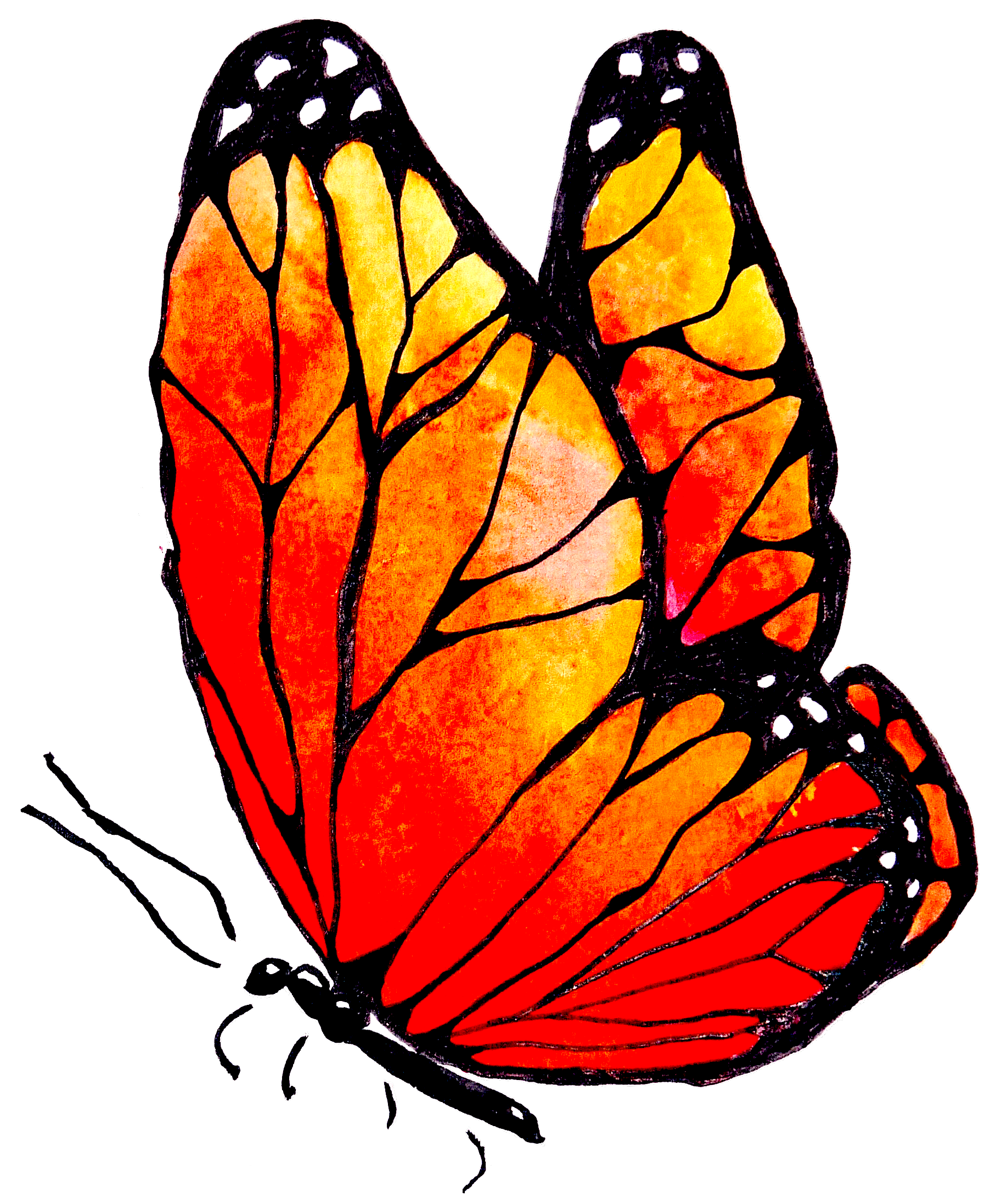 Watercolor, pen