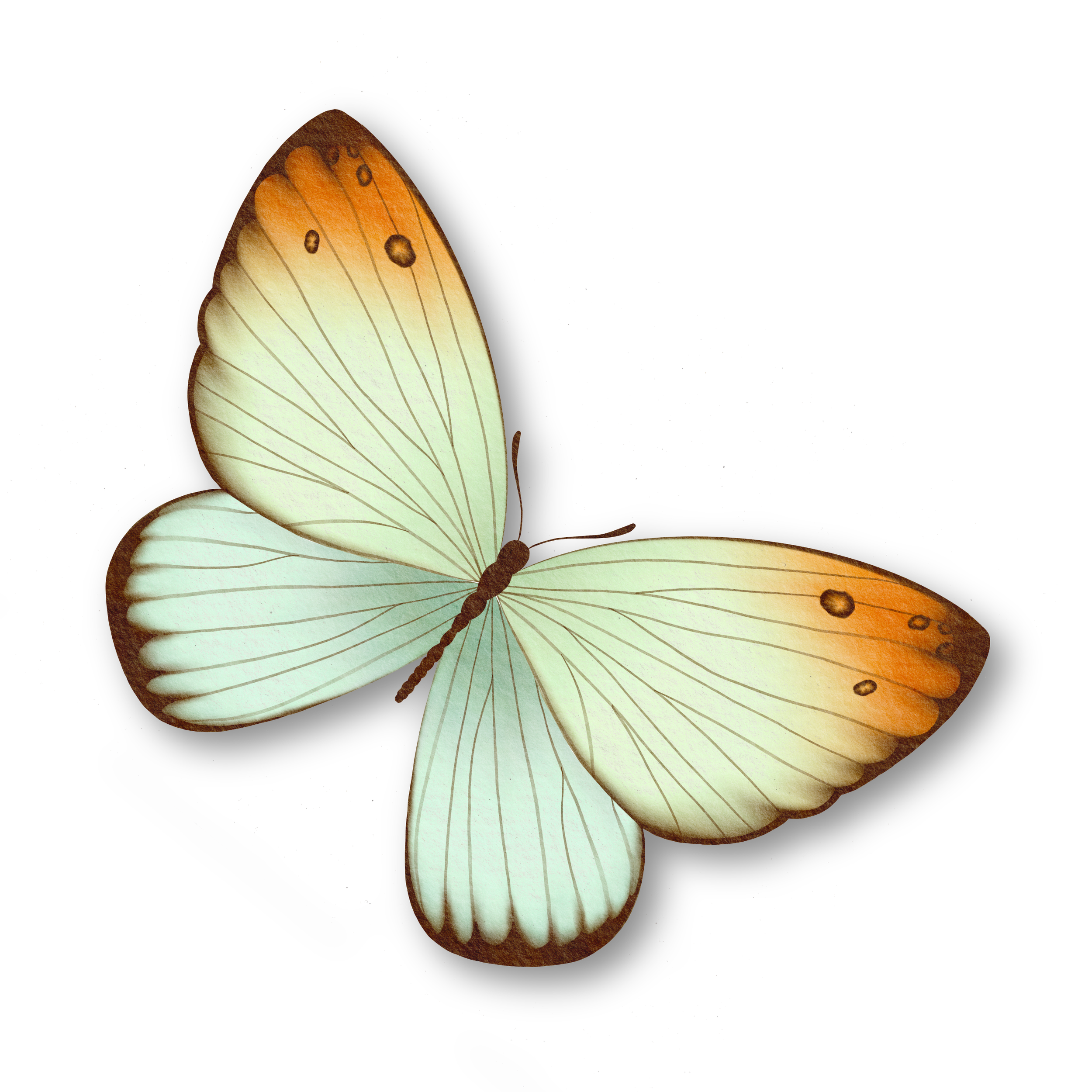 Squarespace Projects-06.png