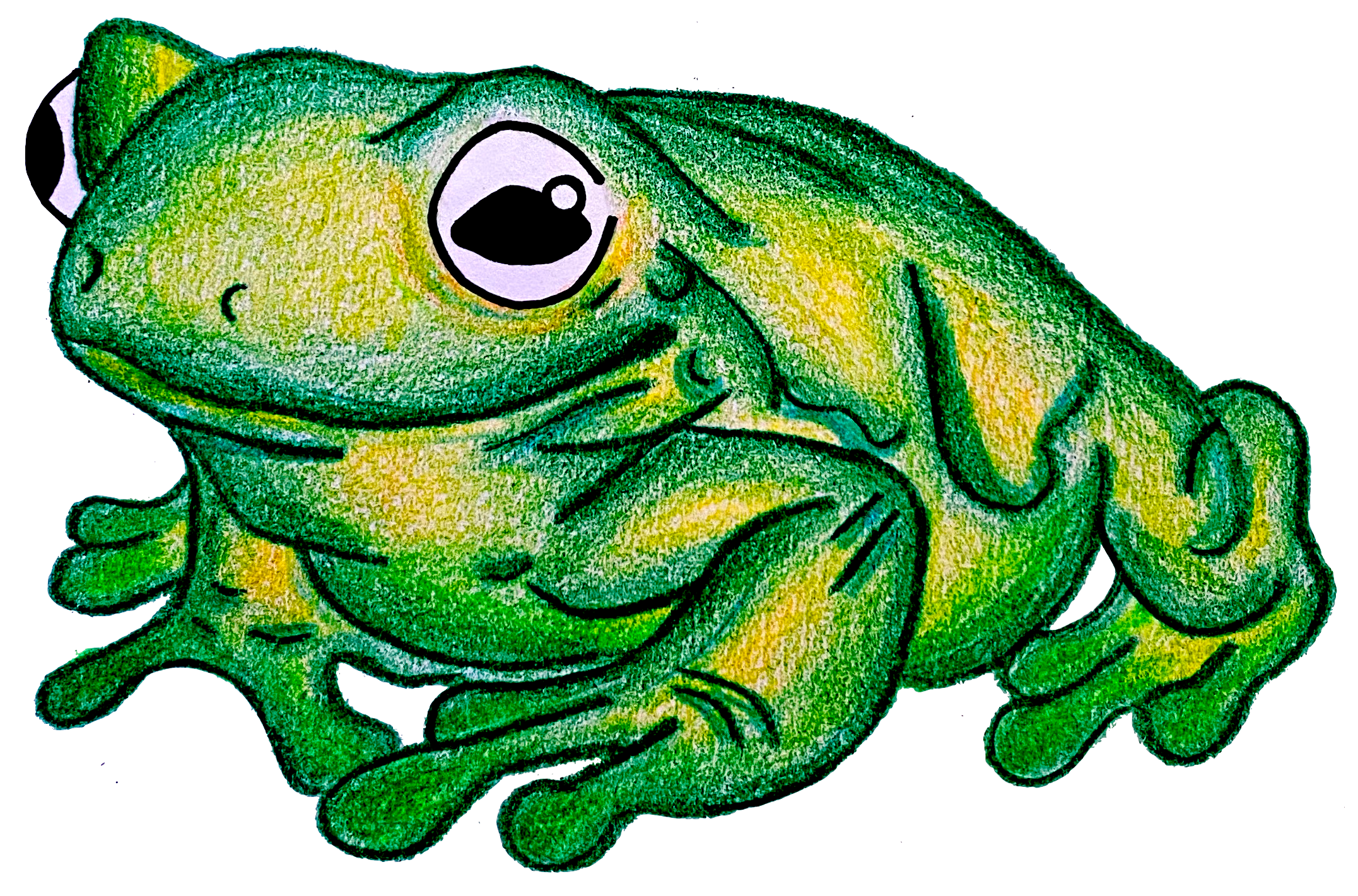 Colored pencil