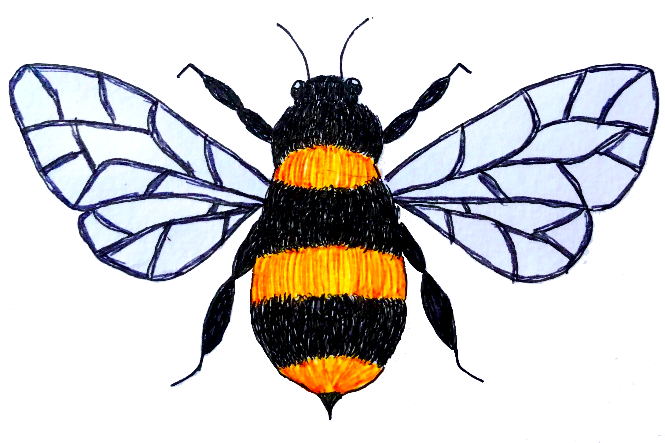 Colored pencl
