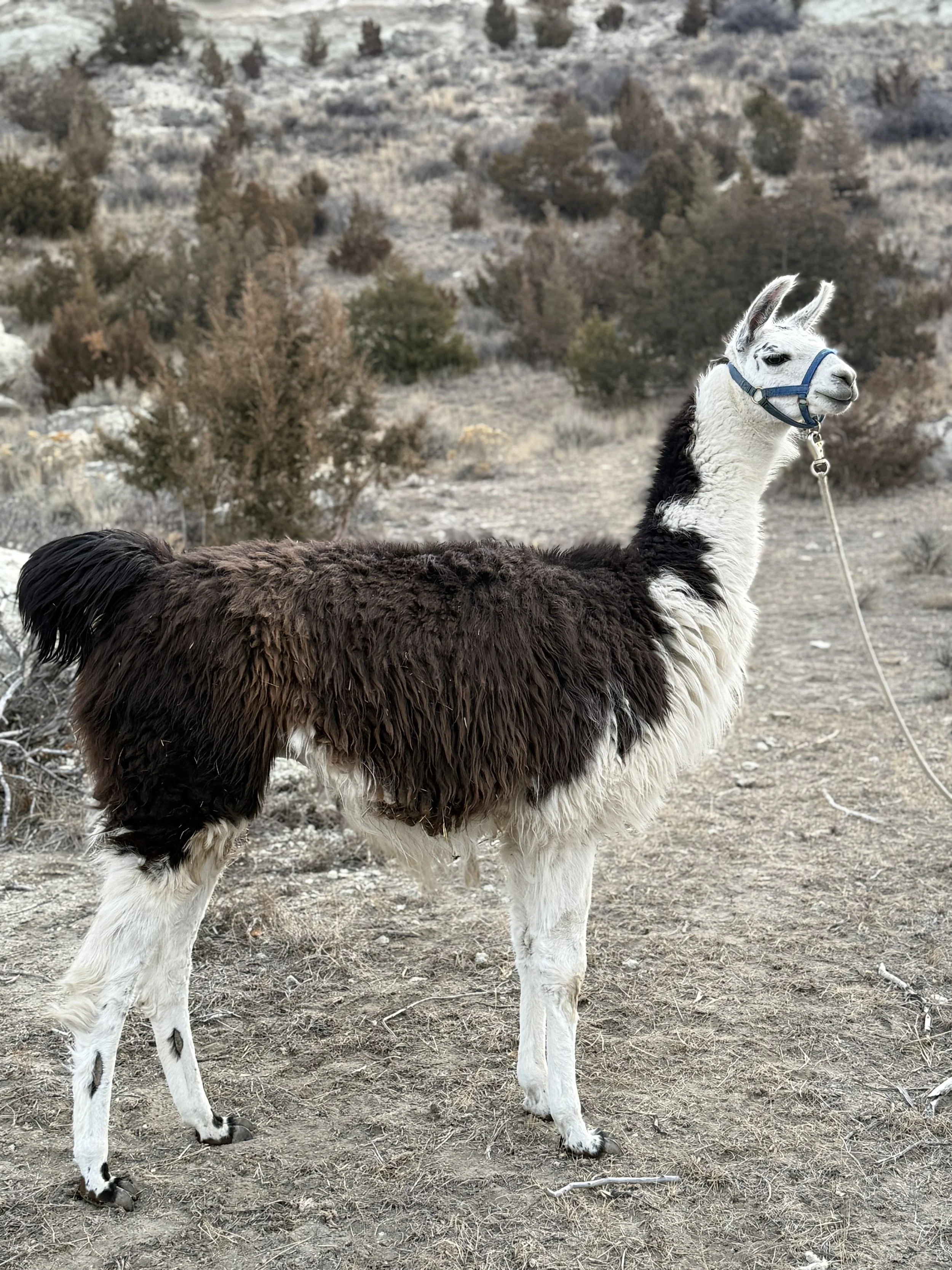 Jeff Right Side.jpeg