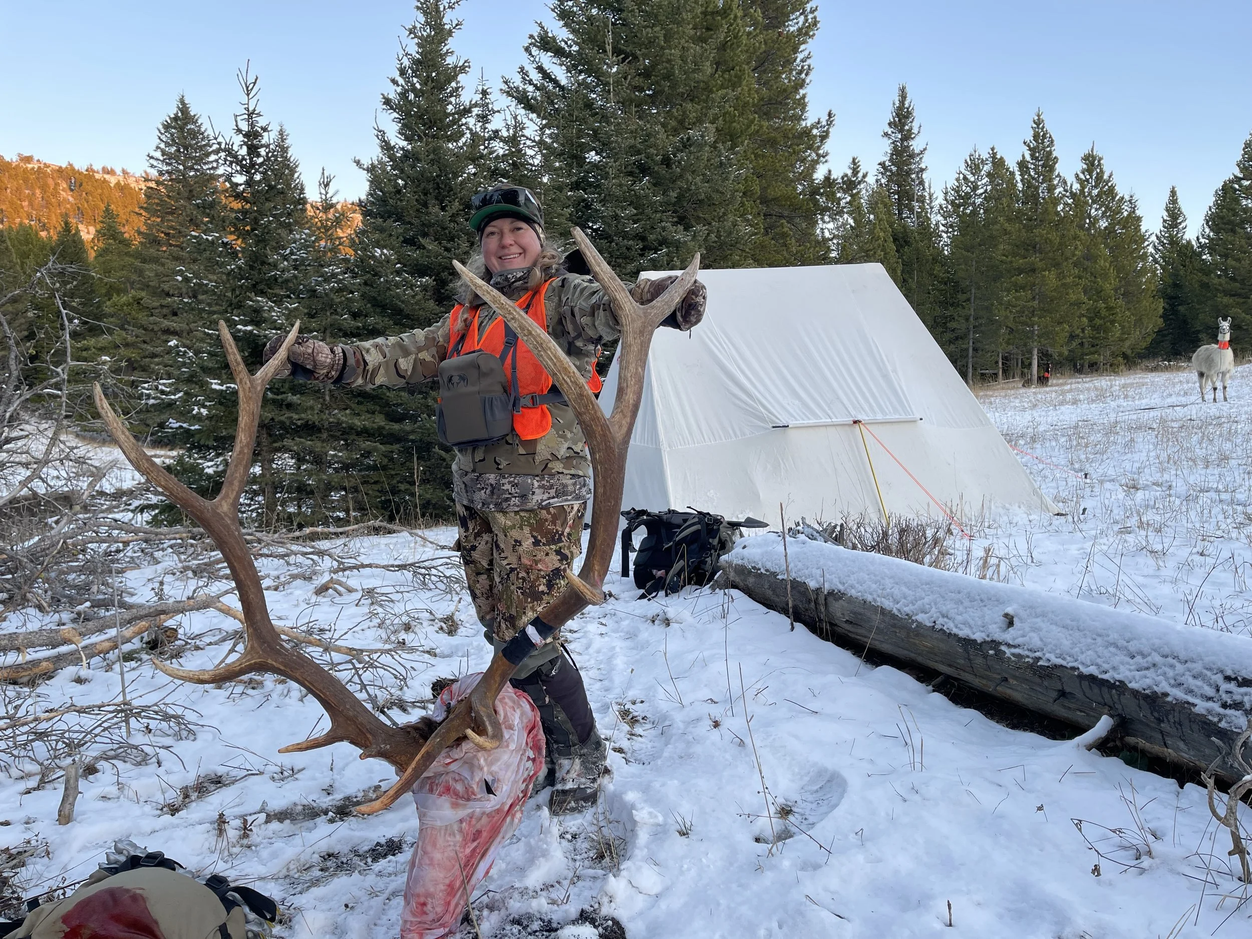 Kassy Elk at Camp .jpg