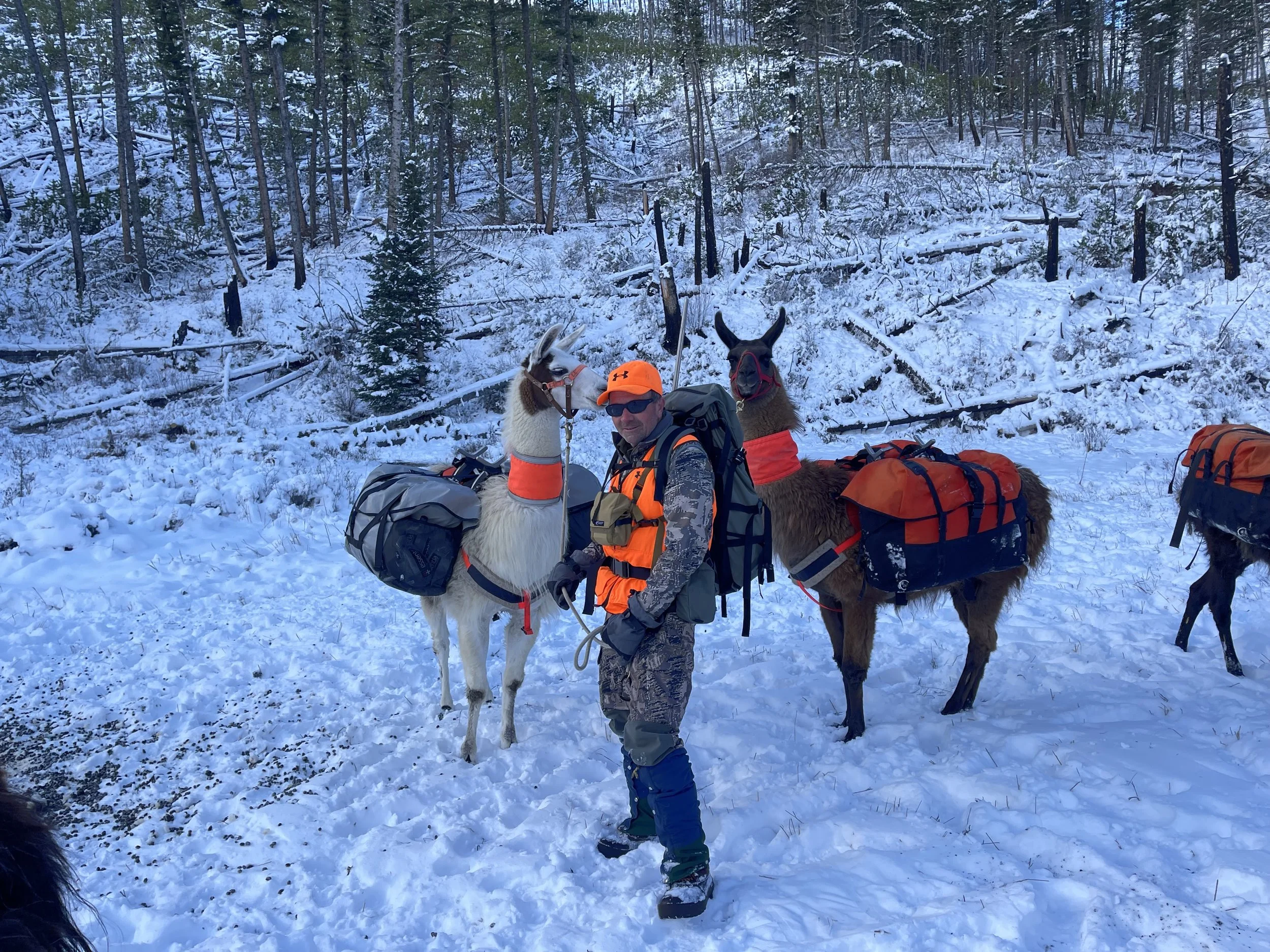 Triscut and Huggie .jpeg