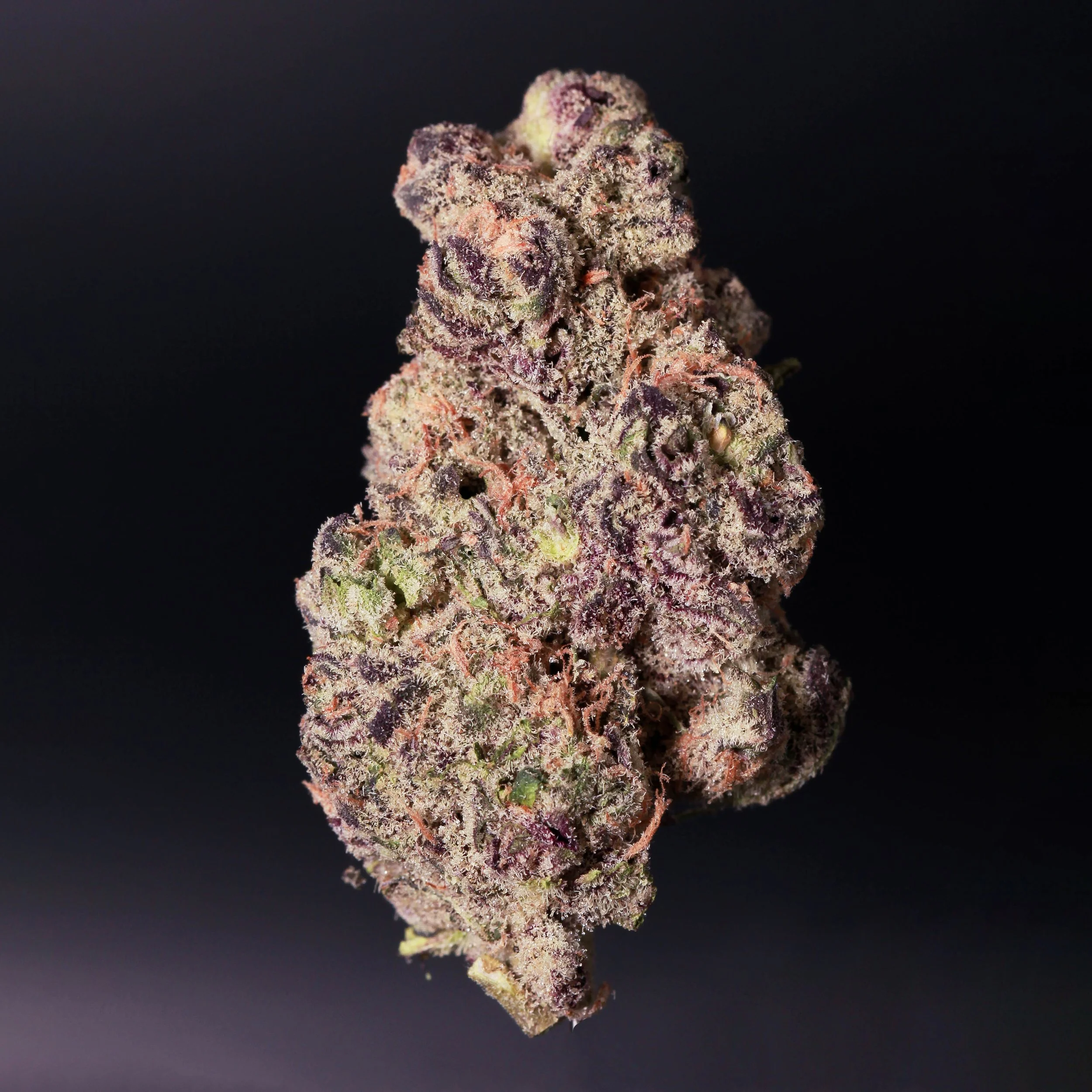 Apples & Bananas x Runtz — Green Trap Cannabis