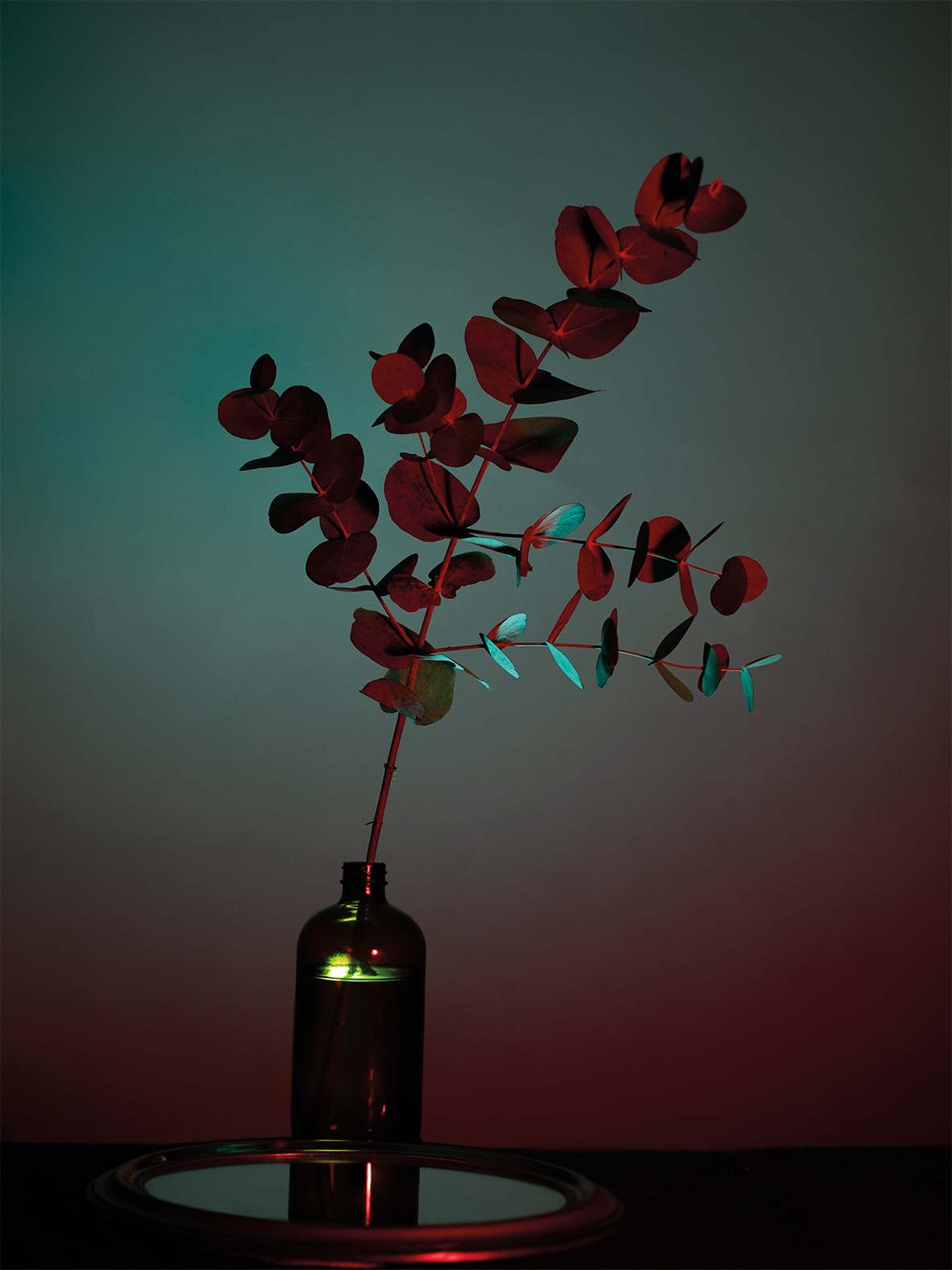 09botanicalpoetry.png