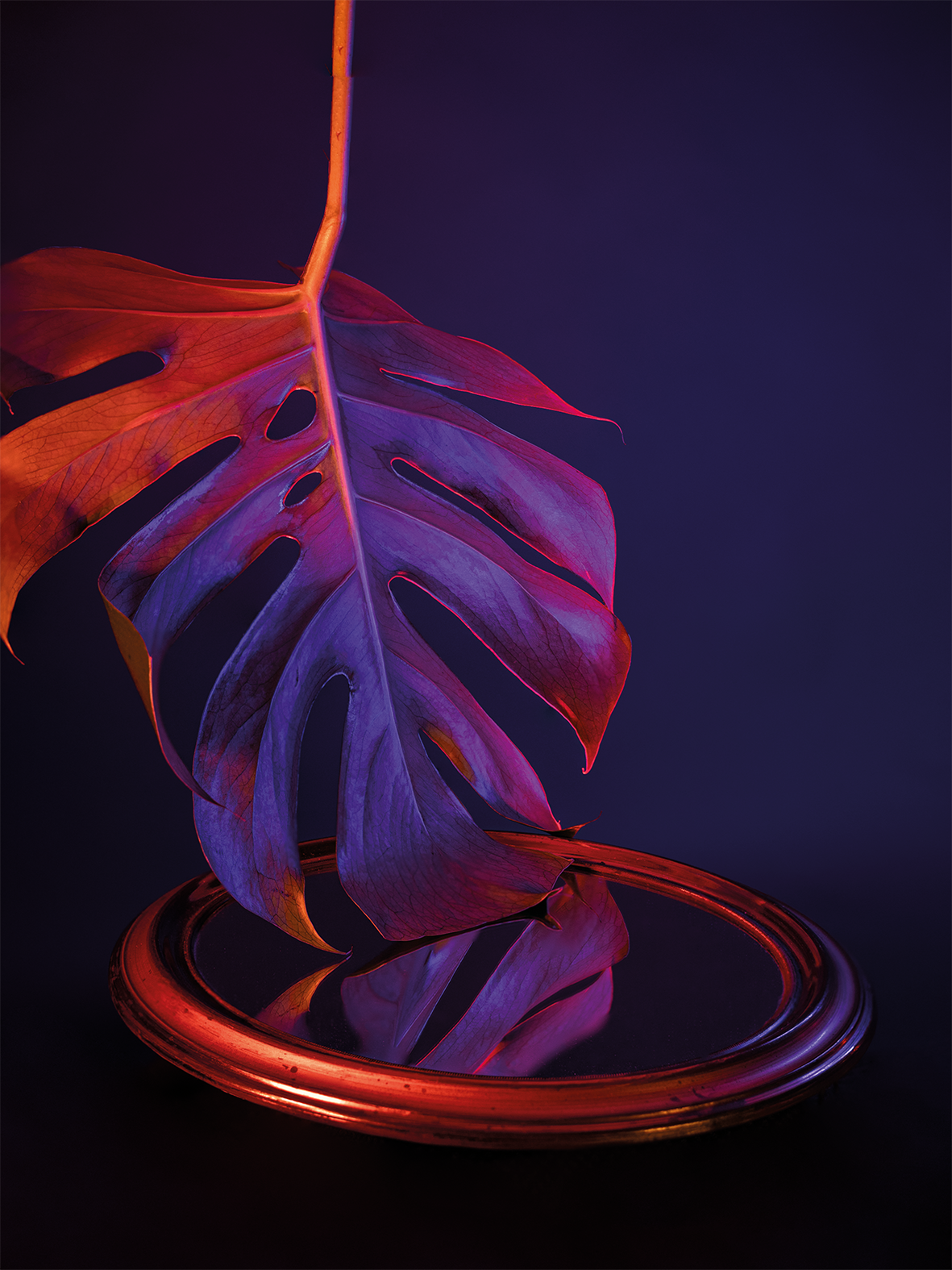 01botanicalpoetry.png