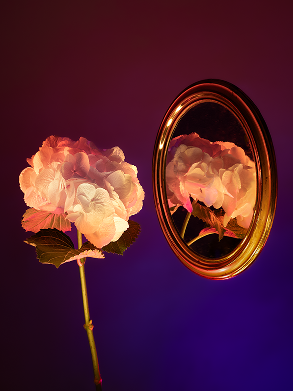 13botanicalpoetry.png