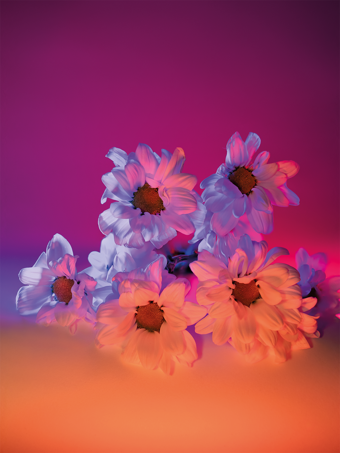 05botanicalpoetry.png