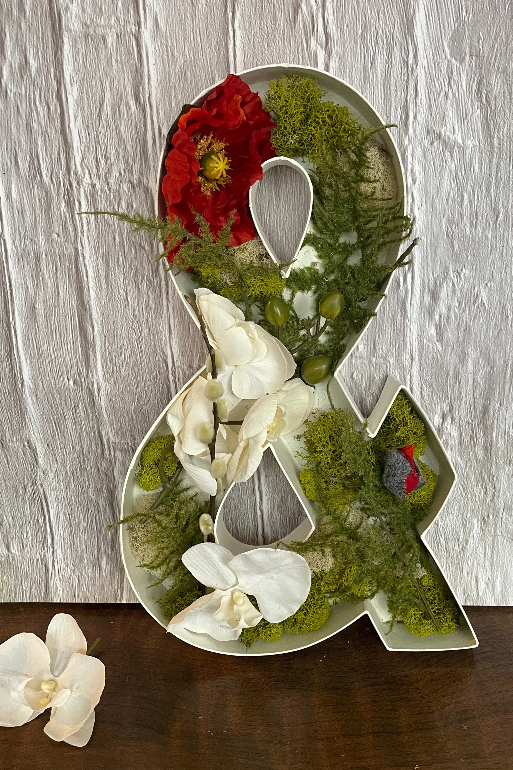 Untitled design - 2026-01-17T110821.244.png