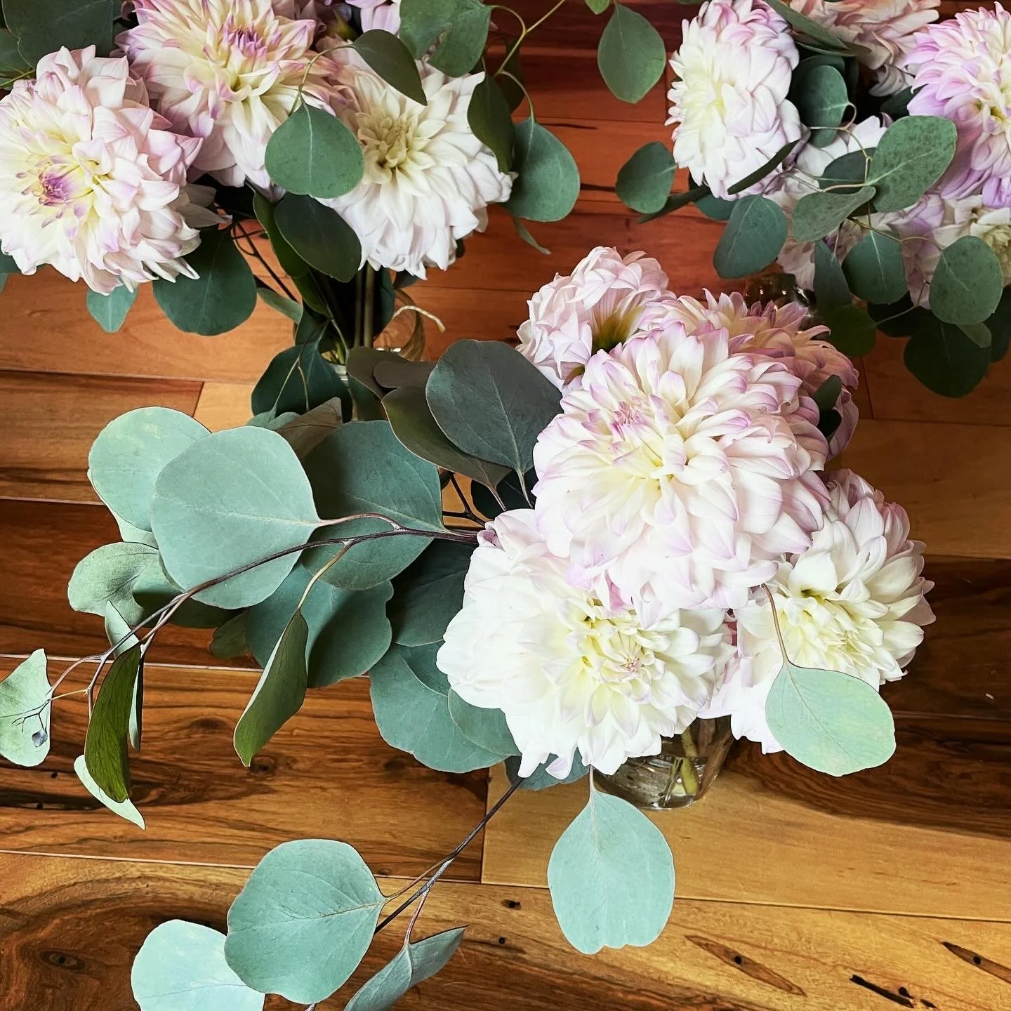 0A665246-F8C5-4BBC-B243-A2656841FDD6 2.JPG