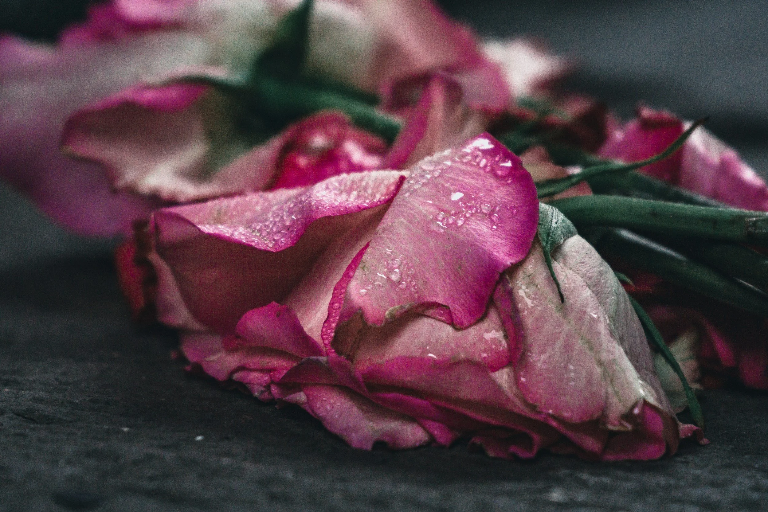 Becoming UnMothered: When Mother’s Day Doesn’t Feel Like a Celebration