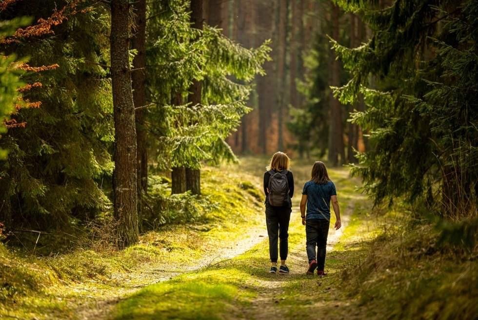 Energy in the Body and Mind: Emotional Energy and Social Connection Dynamics
