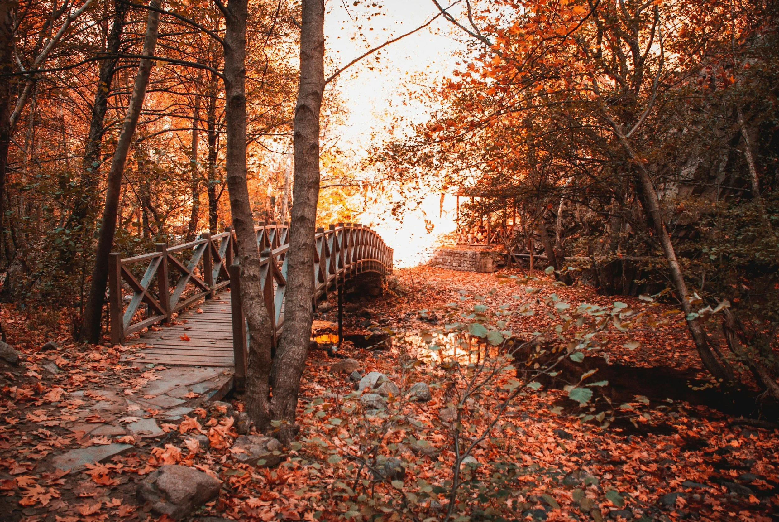October 2026 Numerology: The 11/2 Energy &amp; Autumn Harvest Shadow Work