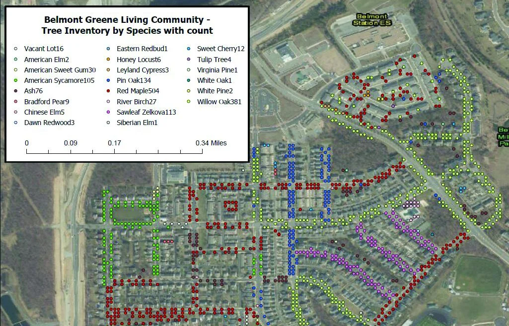 Tree Inventory Maps & Maintenance Plans | Donegan