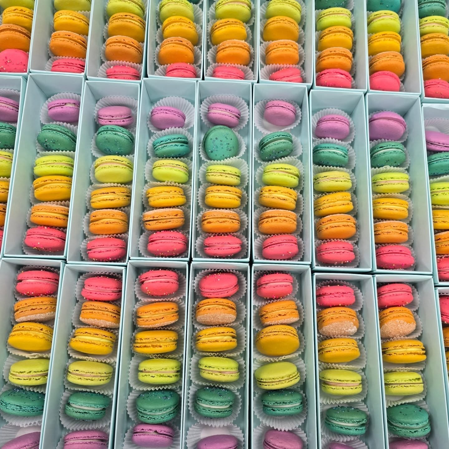 TRIUMPHANTLY RETURNING:
 - Drinks to the @morgantownmkt 
 - Dill Pickle Bread 🥒
 - Rainbows 🌈
 - Us? (Feels like a morale booster to say we are triumphant?)

Find us today ✨️
@morgantownmkt 8:30-12
Bakery 10-3
@mainstreetfairmont Pride 10-2

Macaro