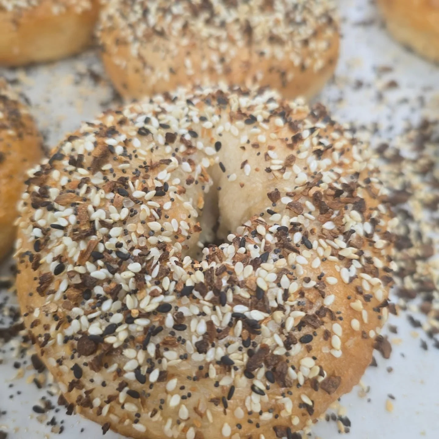 We have a WIDE variety for you today at the @morgantownmkt from 10-12! (I'm not sure why I backtracked on that video other than it being very important that you saw the pumpkin rolls!) Swipe for some more close-ups ➡️ Cupcakes are exclusively at the 