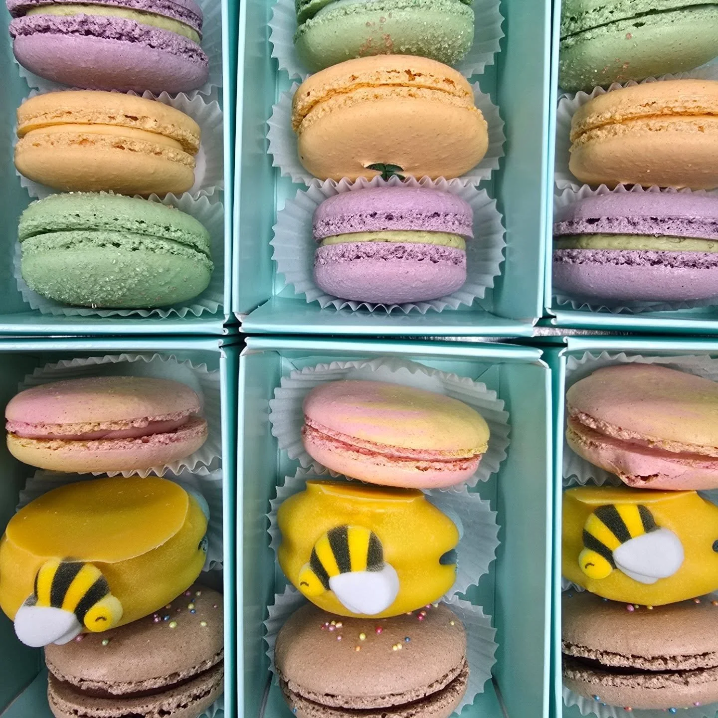 Hi friends!! Event details ‼️⬇️
Whoops, we have been really quiet. I guess we are in a minor hibernation mode resting before our summer outdoor markets kick off next weekend!

We are open at the bakery today 10-3(ish) but will be sending a good chunk