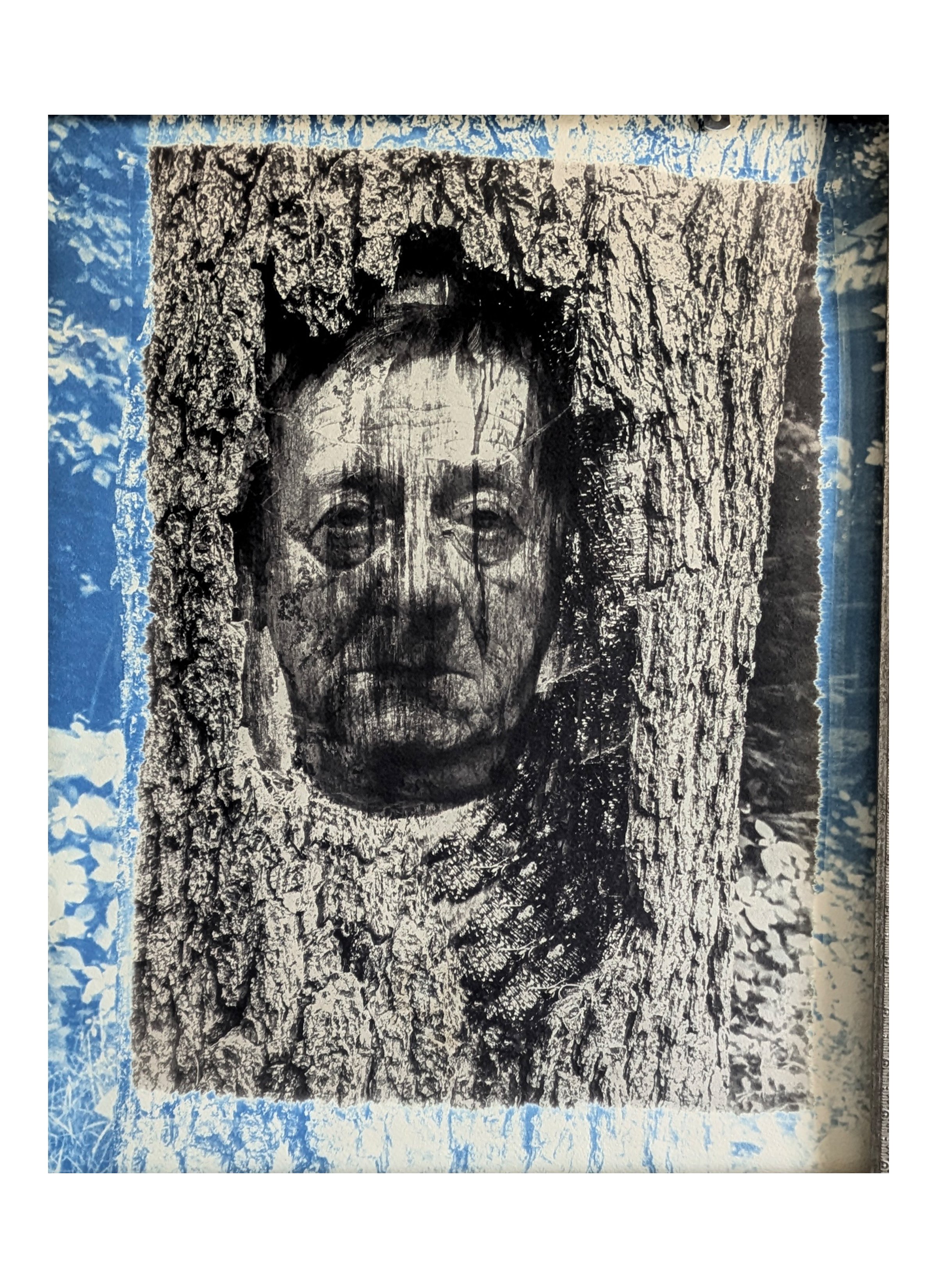 wise and forgotten.jpg