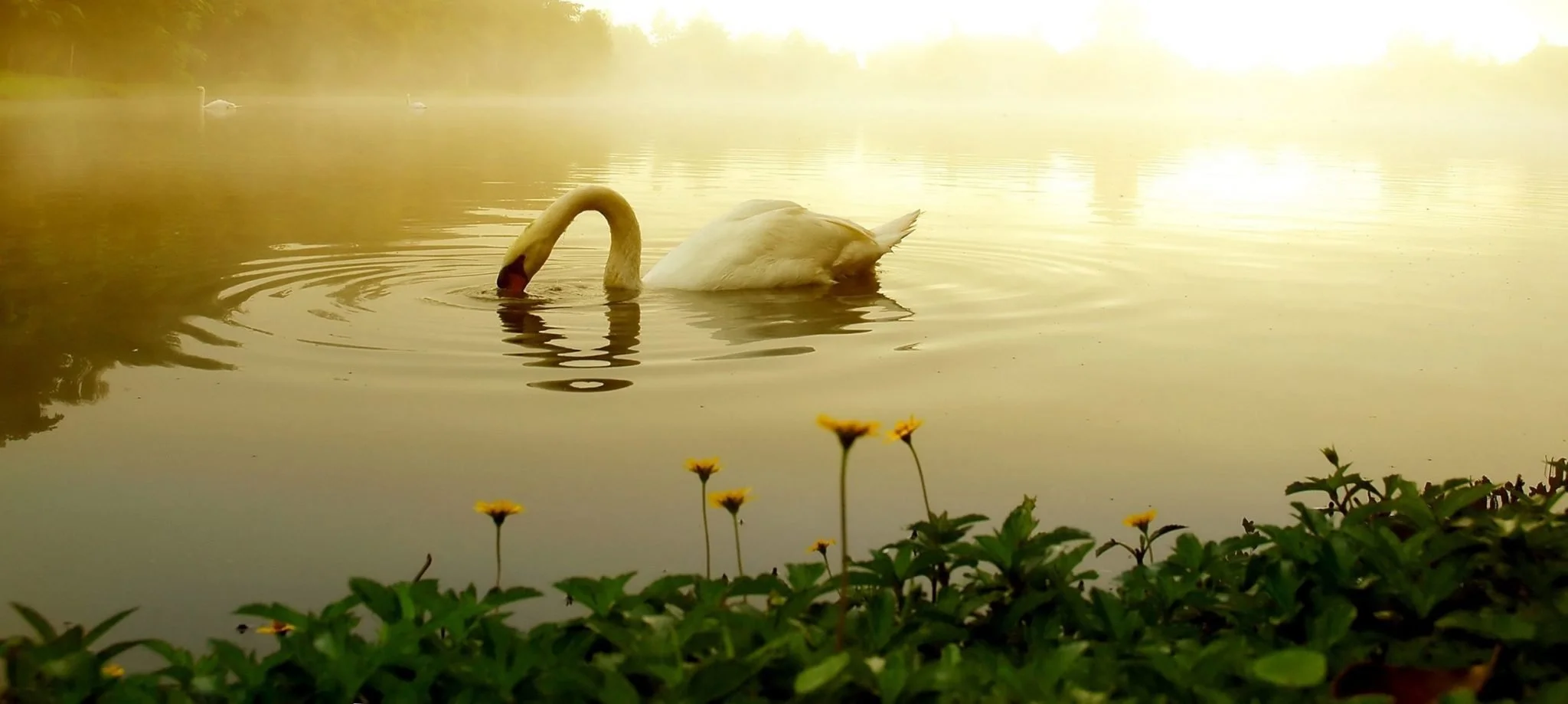 Ayurveda’s Concept of Perfect Health – Svastha