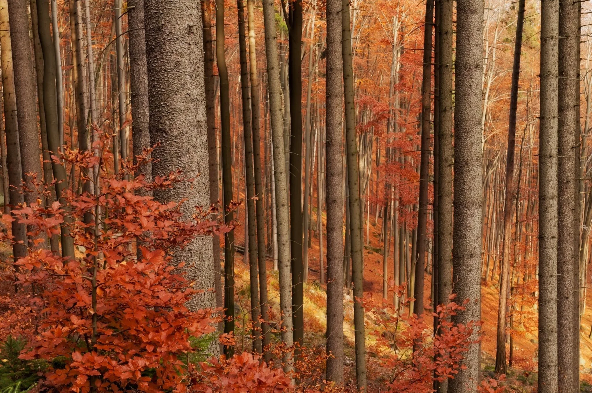 Creating Balance in the Vata Season