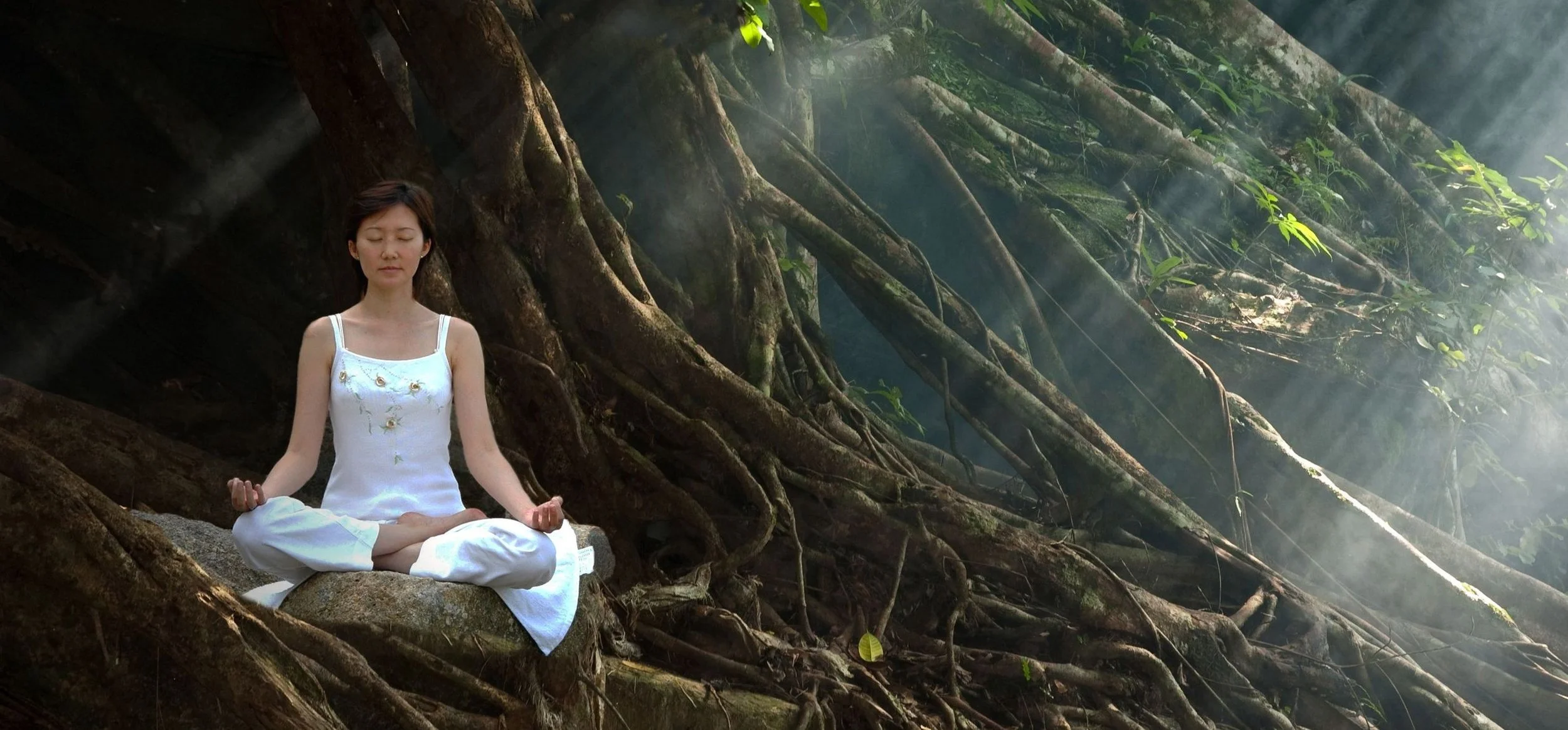 Ayurveda and Yoga Sister Sciences — Balance & Bliss Ayurveda and Yoga