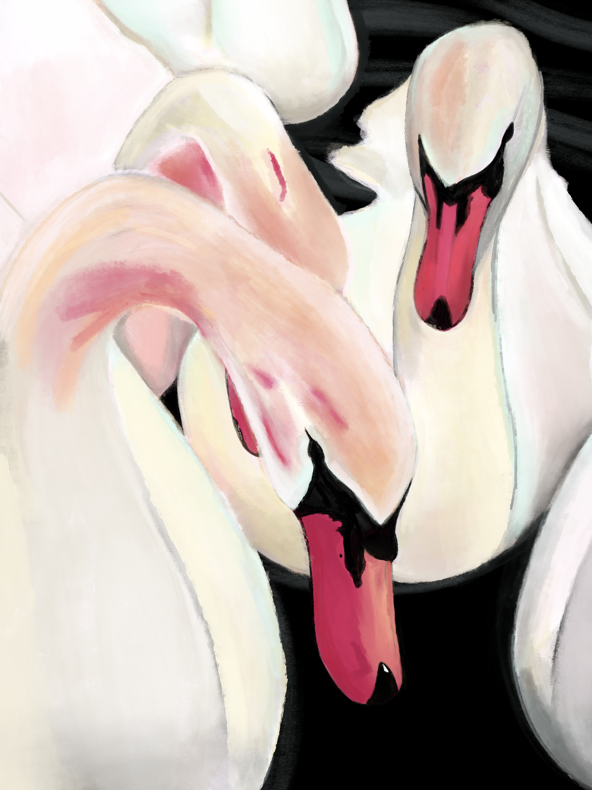 Untitled_Artwork 21.png