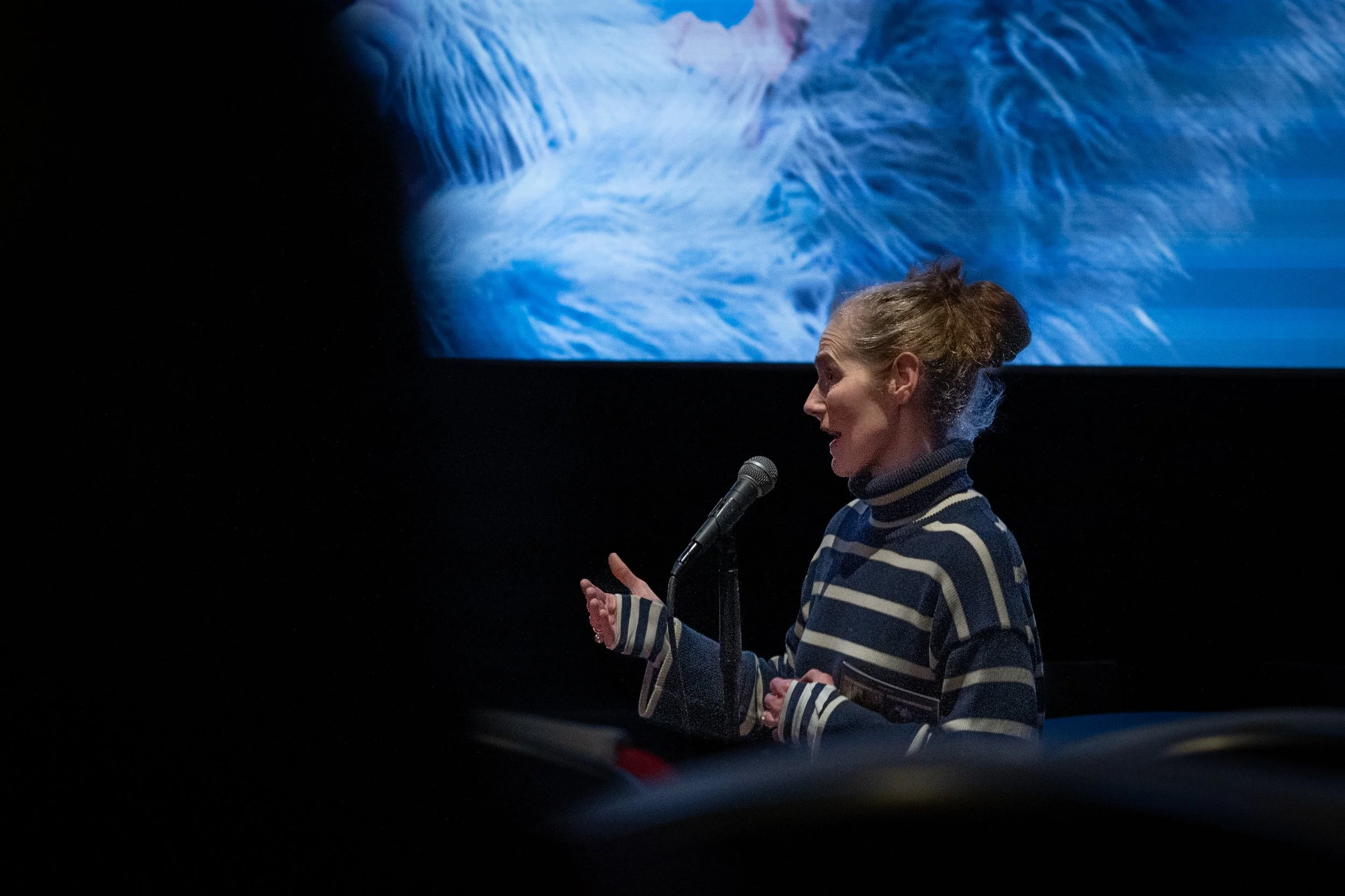 Sunniva O'Flynn of the Irish Film Institute introduces Survival Of The Fastest in Dublin. Courtesy Quiet Child