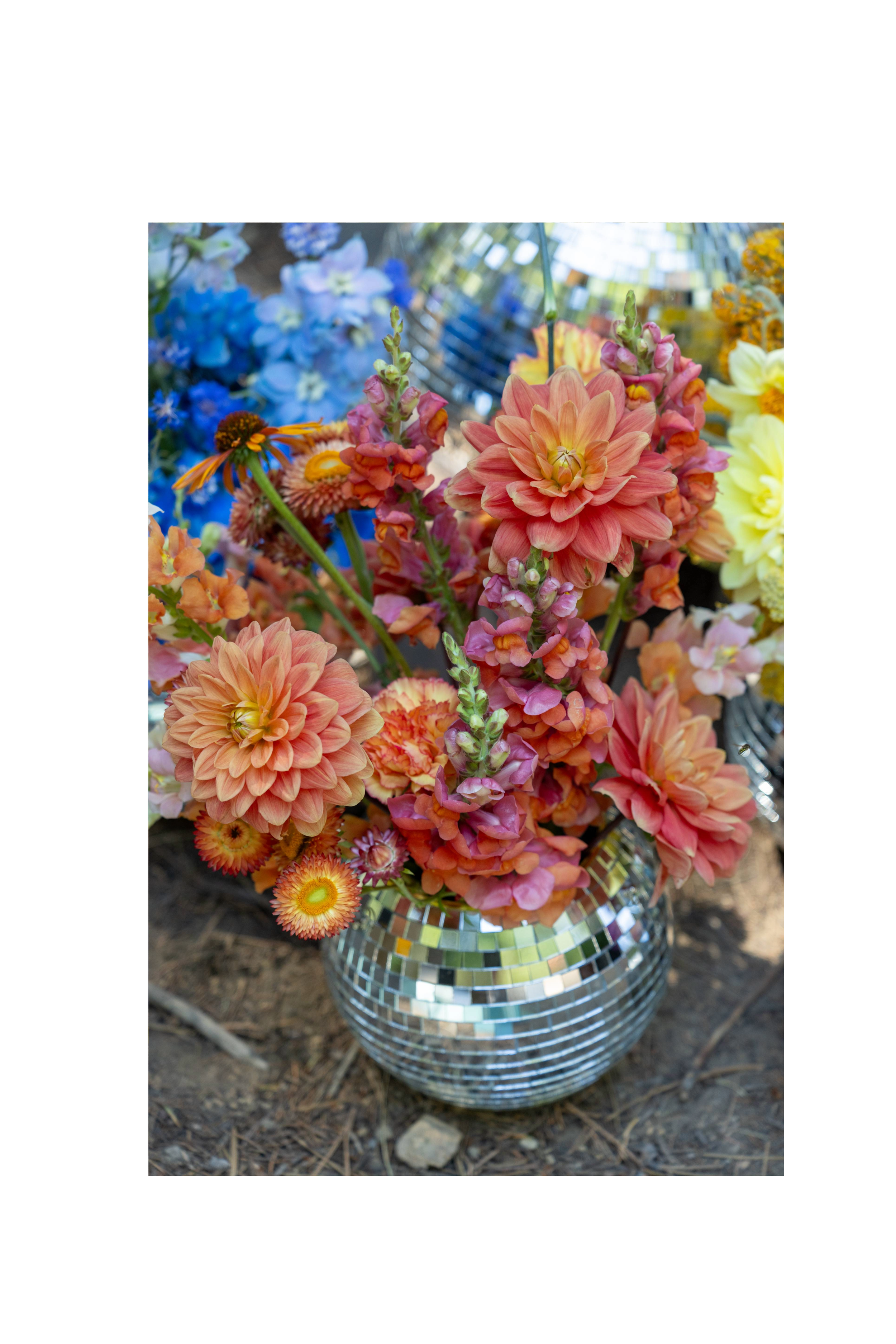 Untitled (13).png