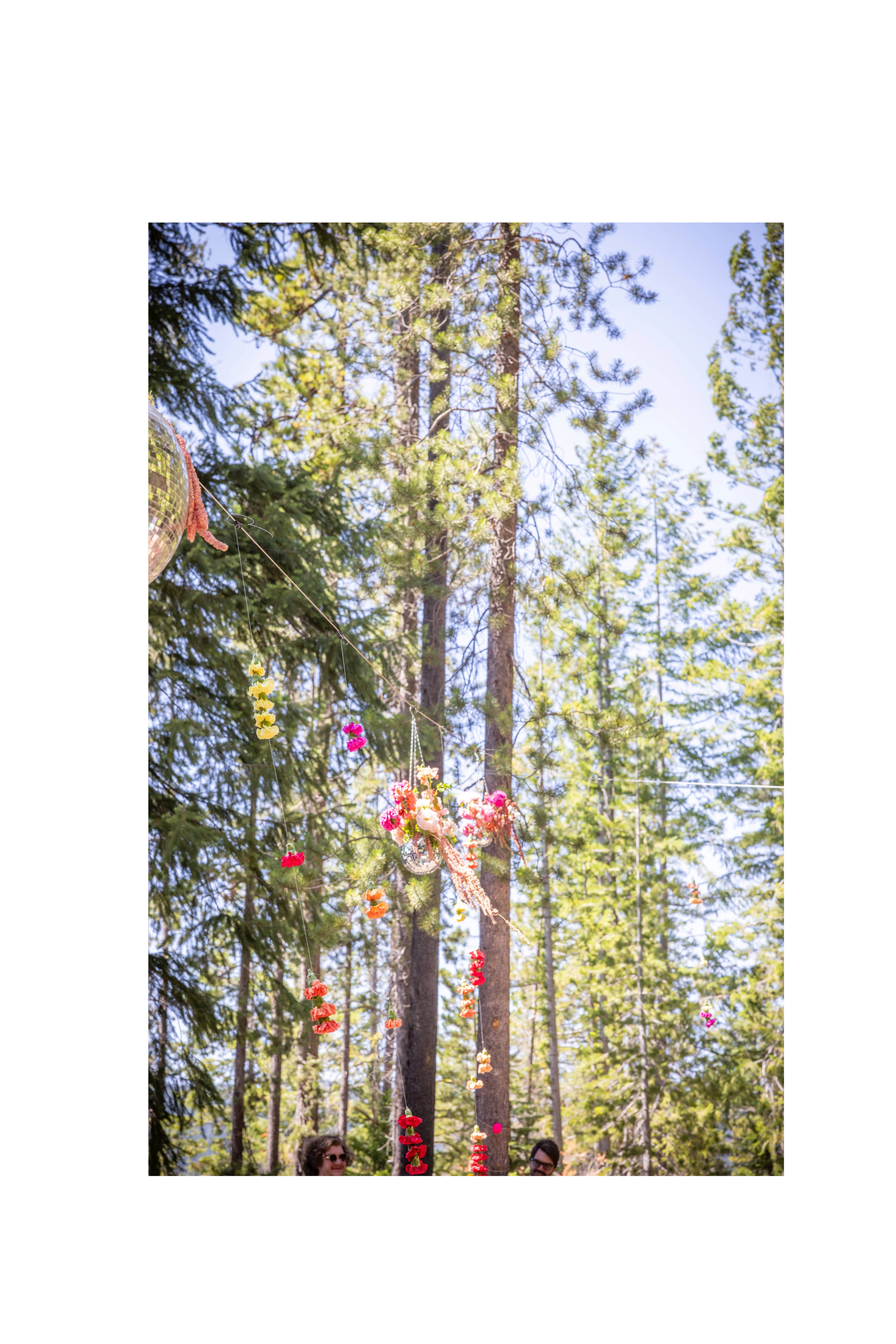 Untitled (18).png