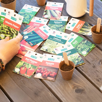 Image of products from Back to the Roots, a bipoc style brand featured in Katie Colley's brand Library