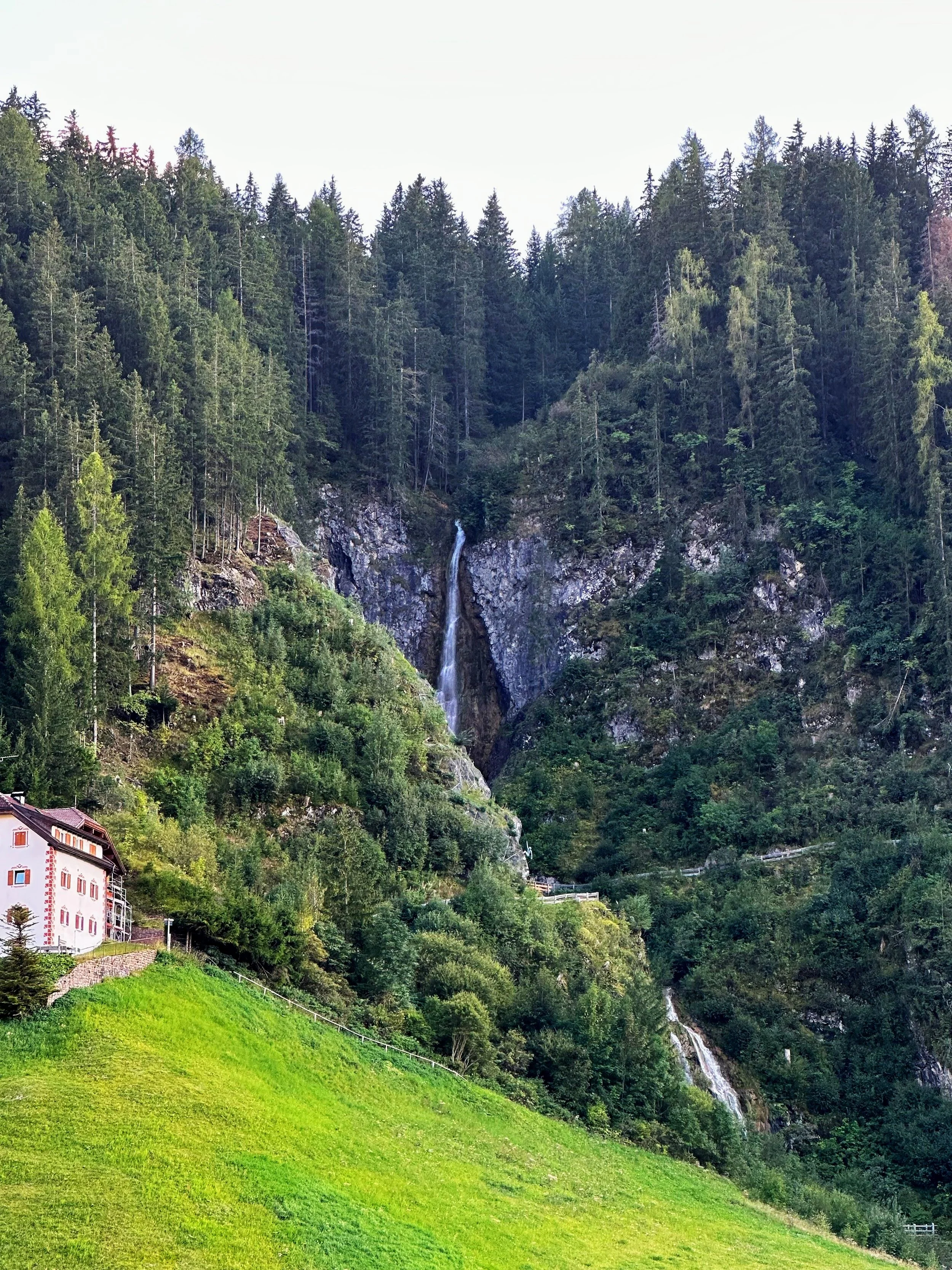 IMG_1410.jpg