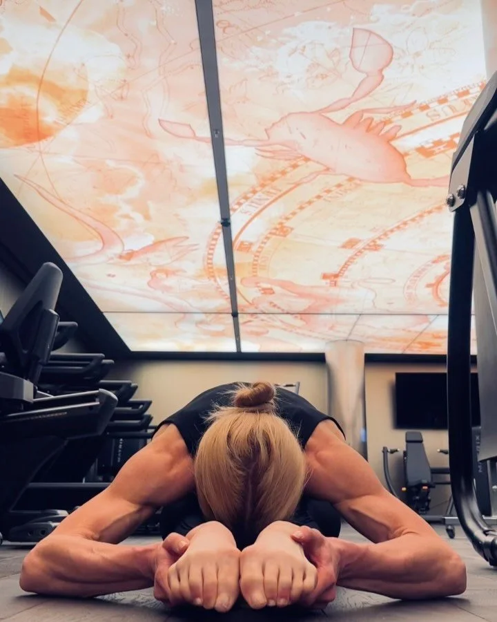 &ldquo;In three words I can sum up everything I&rsquo;ve learned about life: it goes on.&rdquo; &mdash; Robert Frost

Bye Prague, see ya Vienna, hello 2026.​​​​​​​