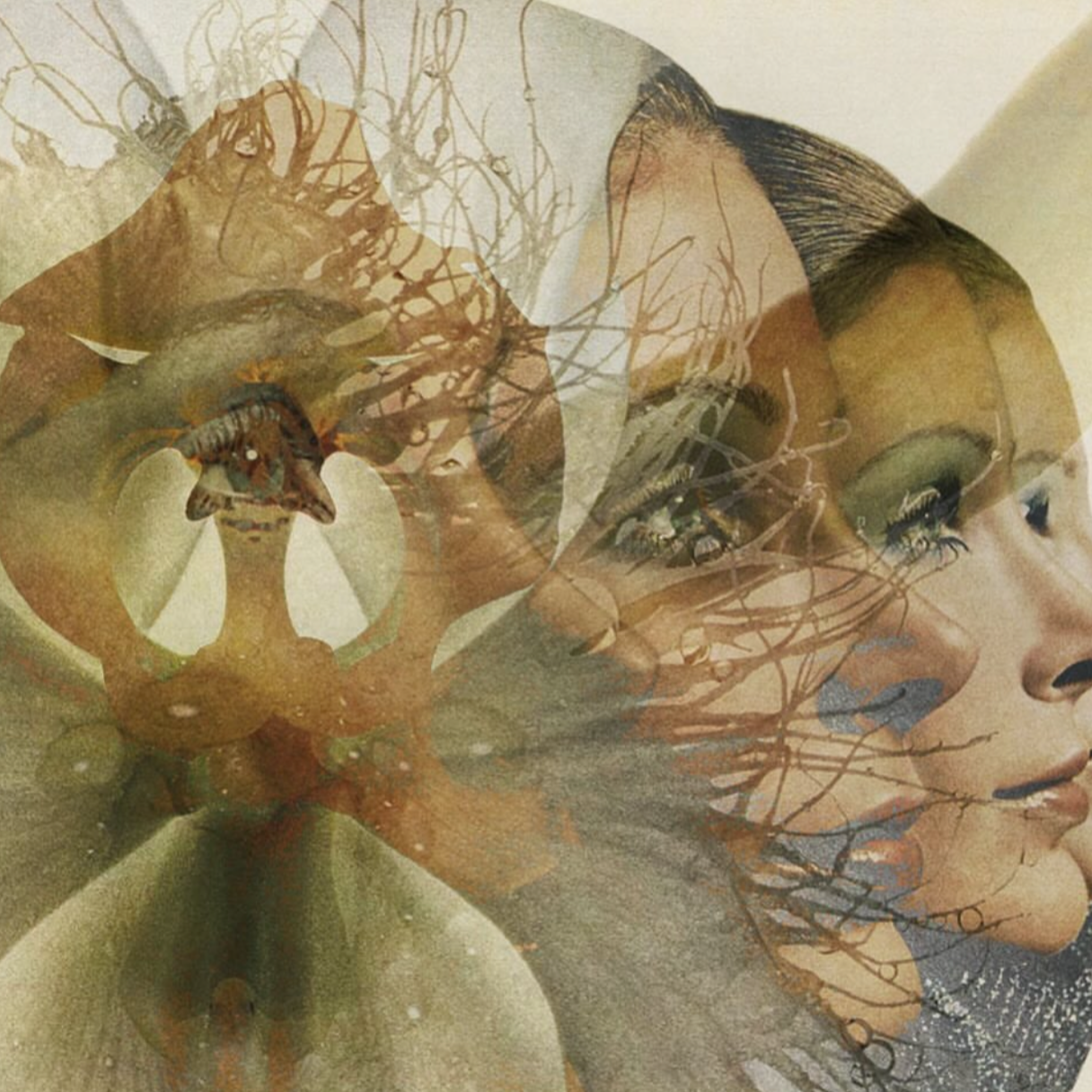 Collage 