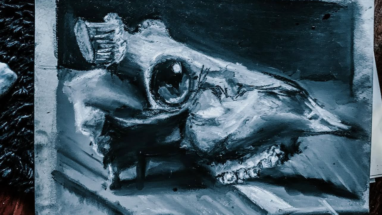 Charcoal Skull Drawing