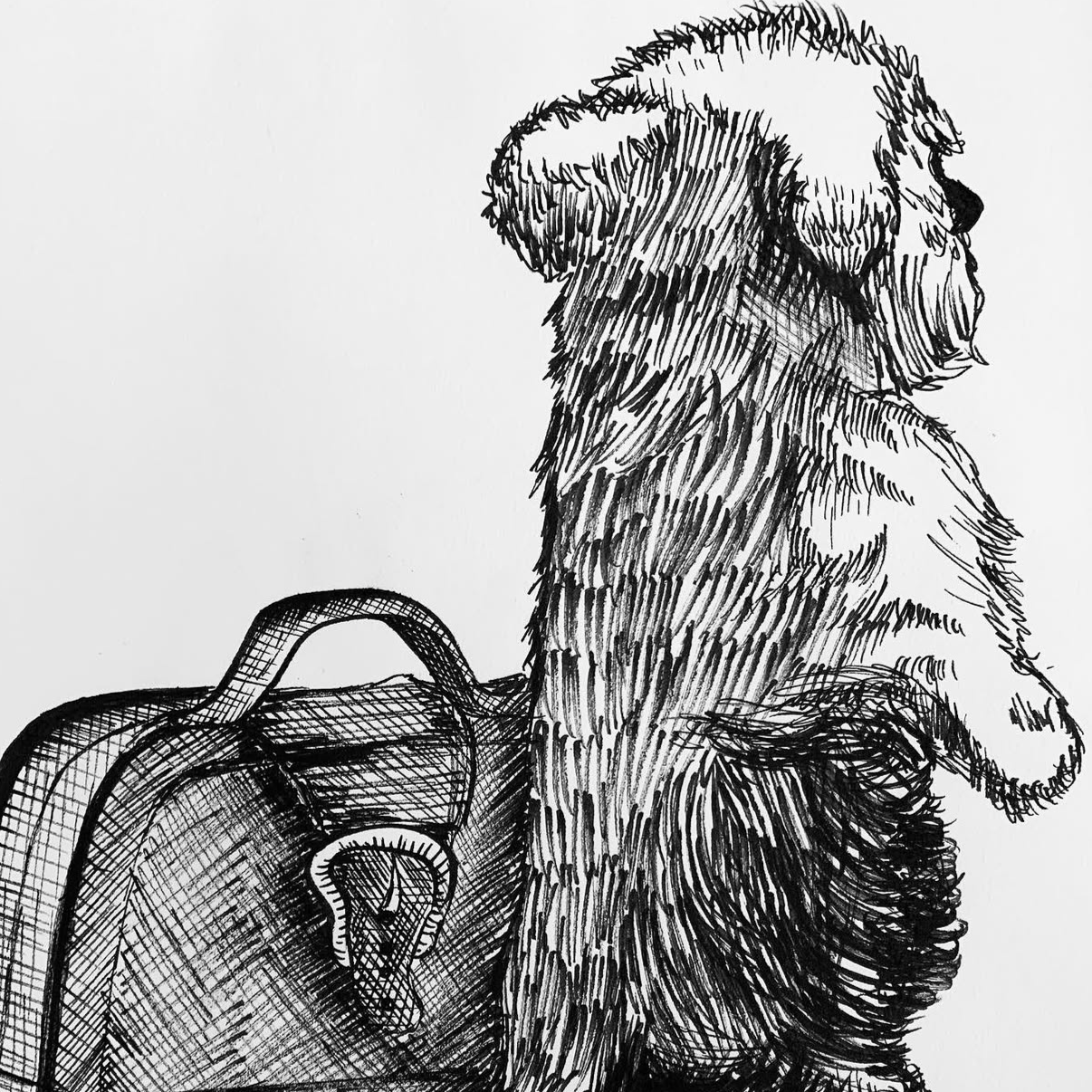 Pup Pen Drawing