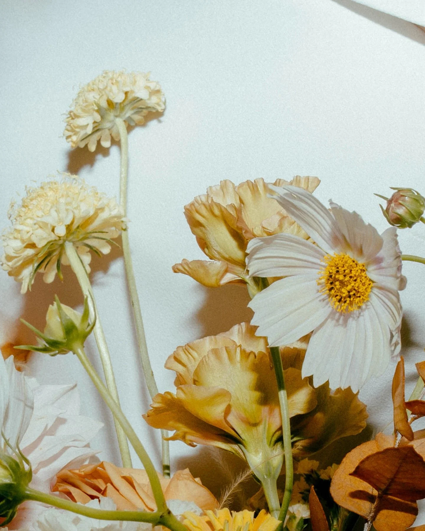 Love an art museum wedding. Jason &amp; Alexis at the Cummer. 

Venue @cummermuseum 
Planning @kaylyngyurisweddings 
Florals @floral.anthology
