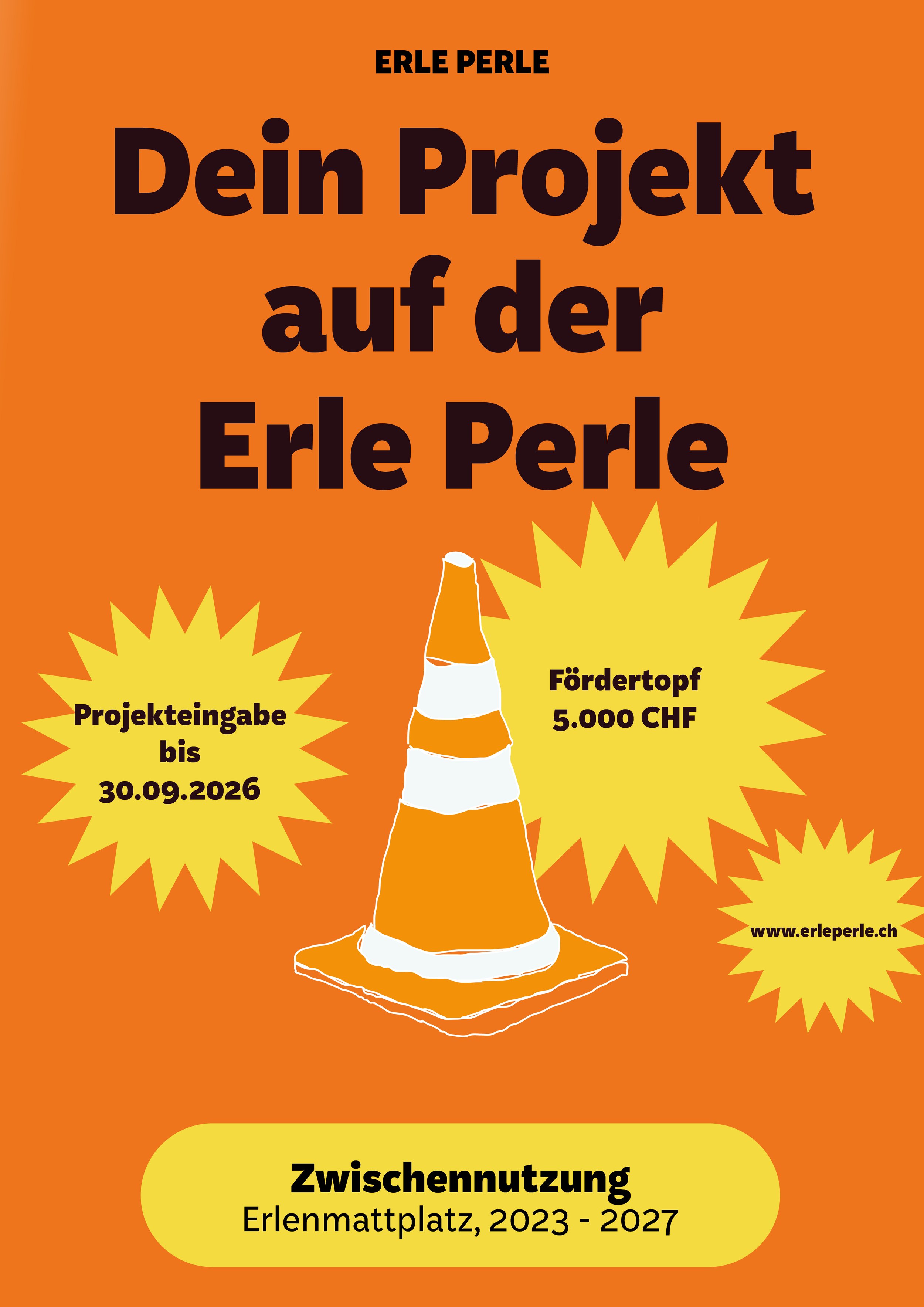 Projekteingabe
