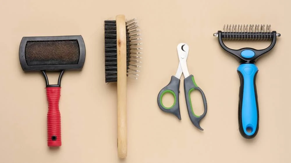 in and out walkin pet grooming nashville rates