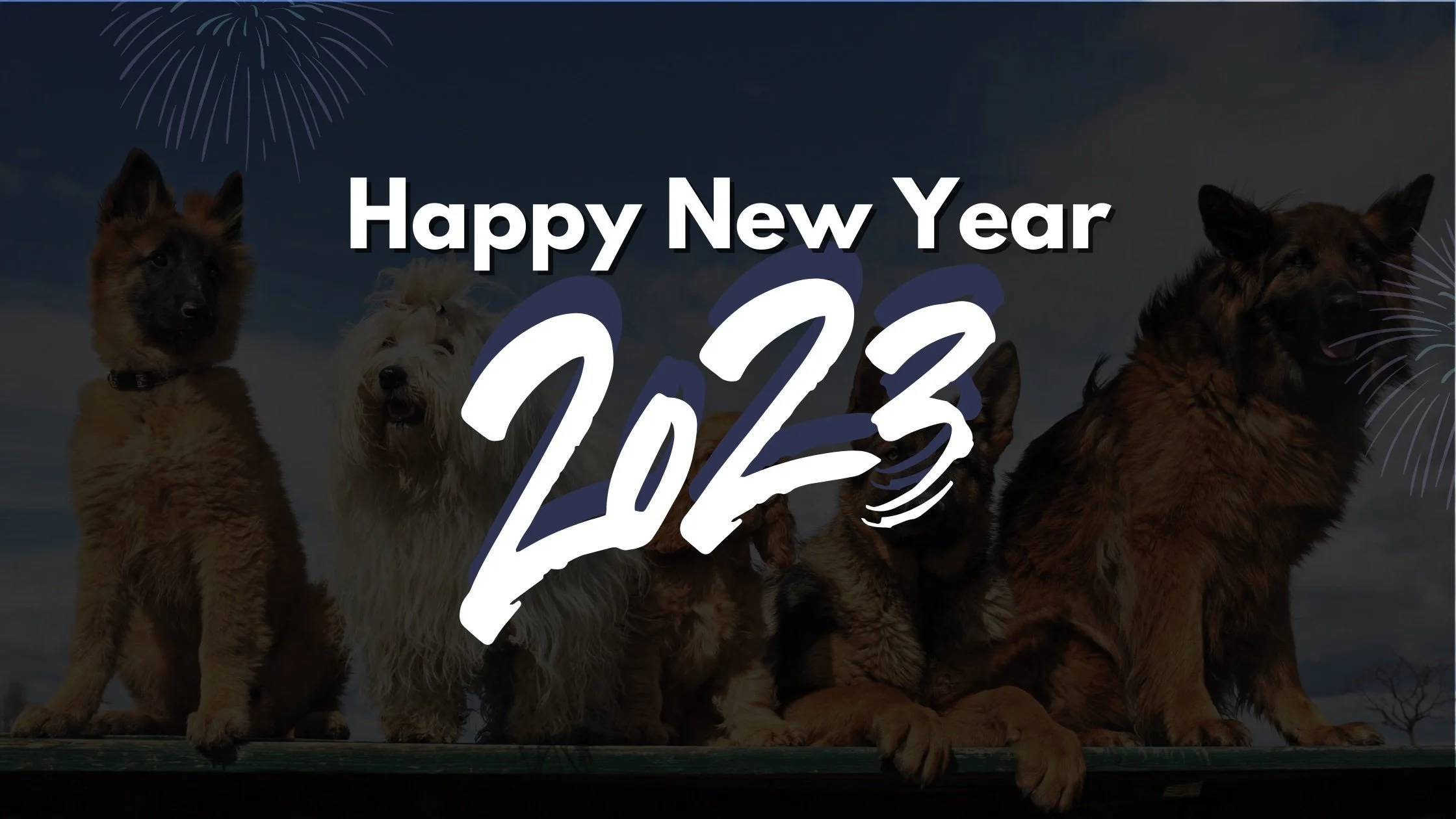 Happy 2023!