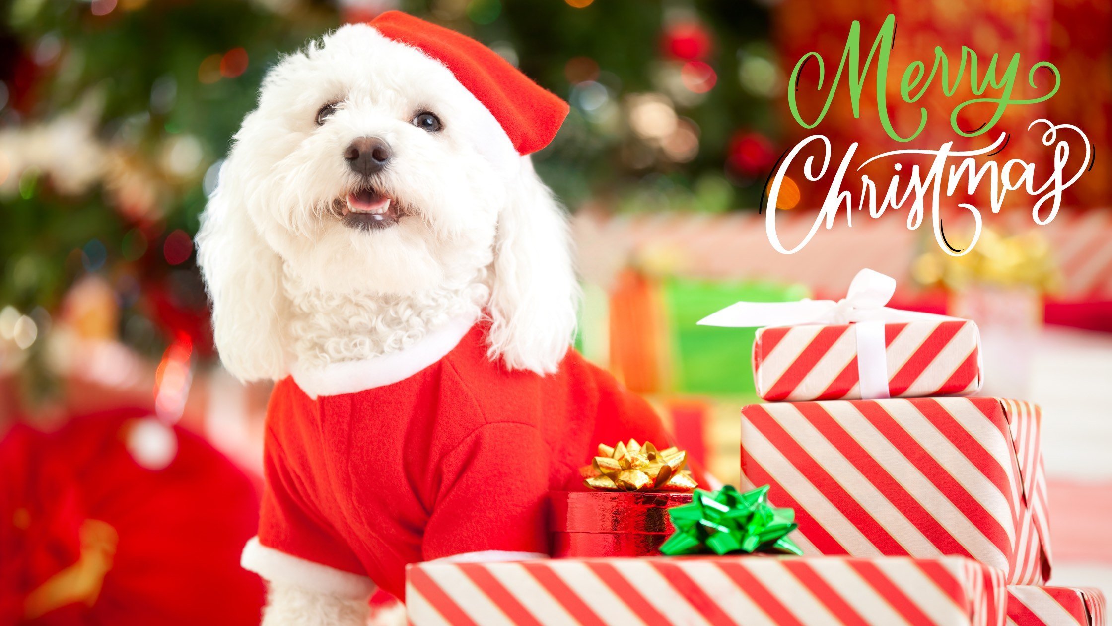 Special Holiday Hours - Christmas Week