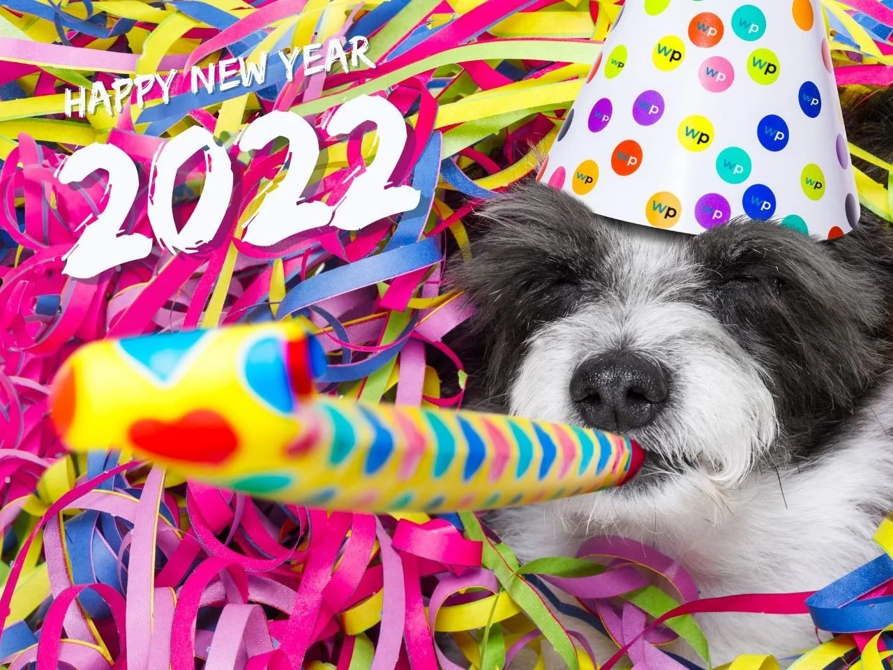 Here's to another big year, together.