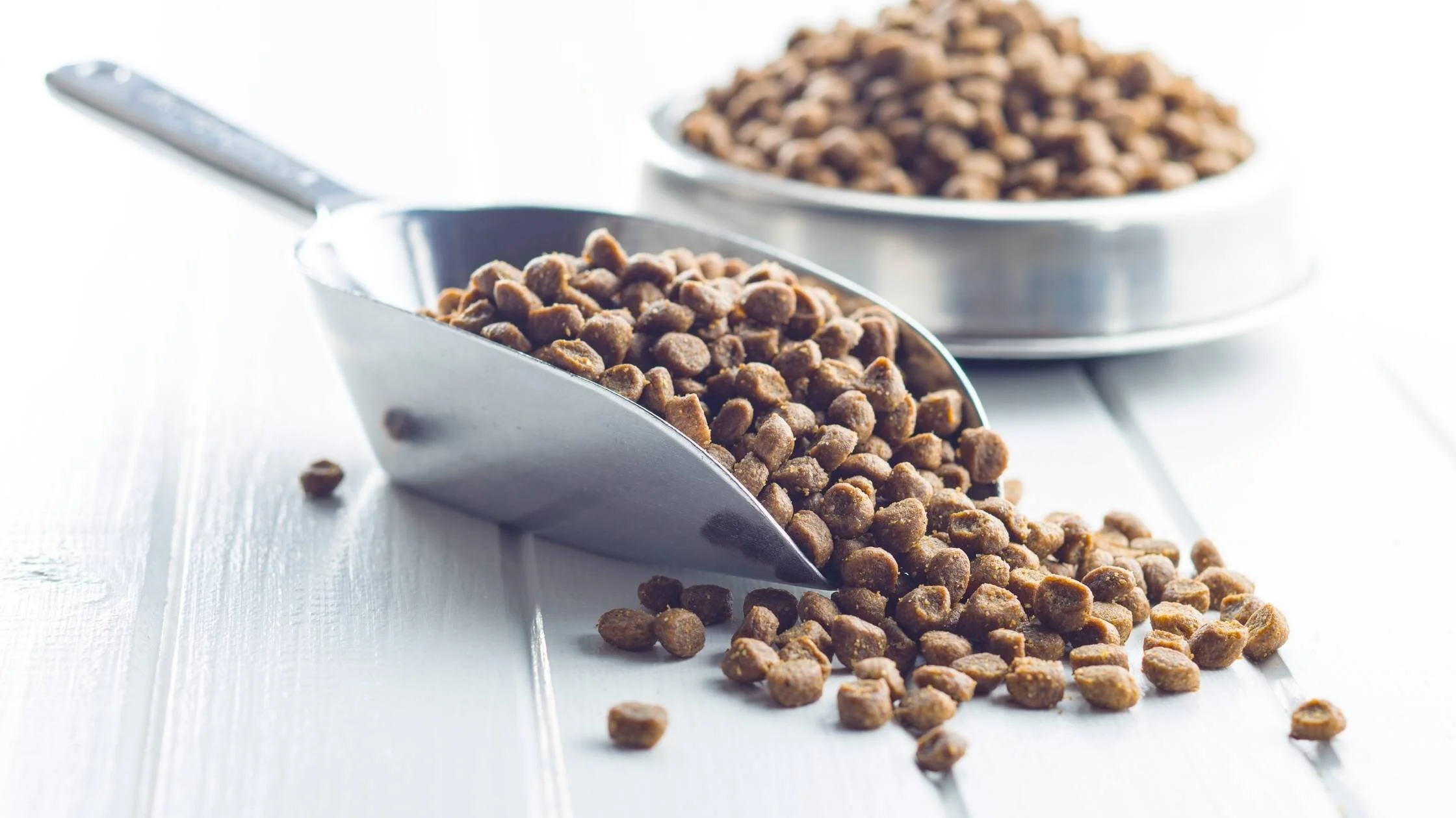 Pet Food Sourced or Made in the USA: What is the difference?