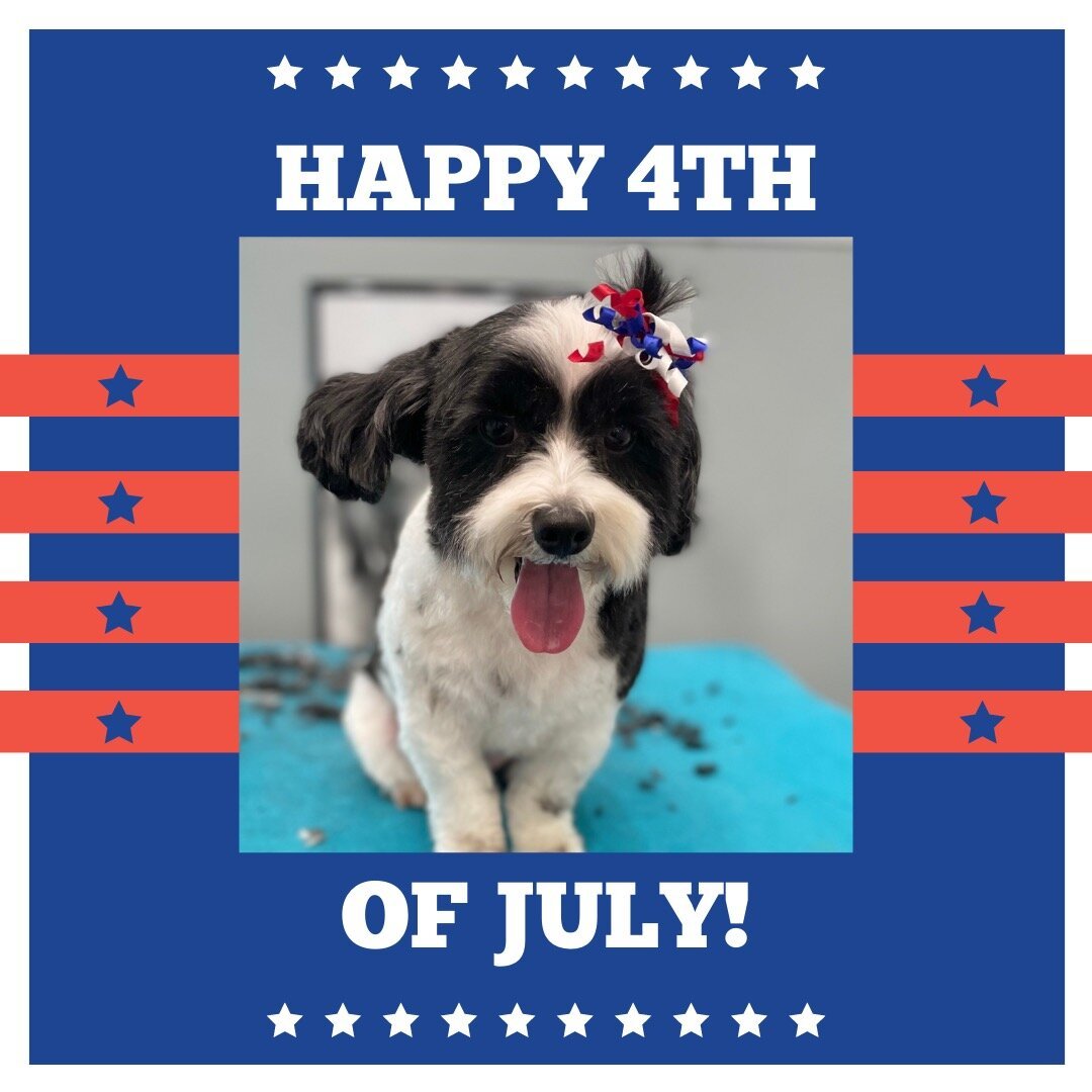 Happy 4th!