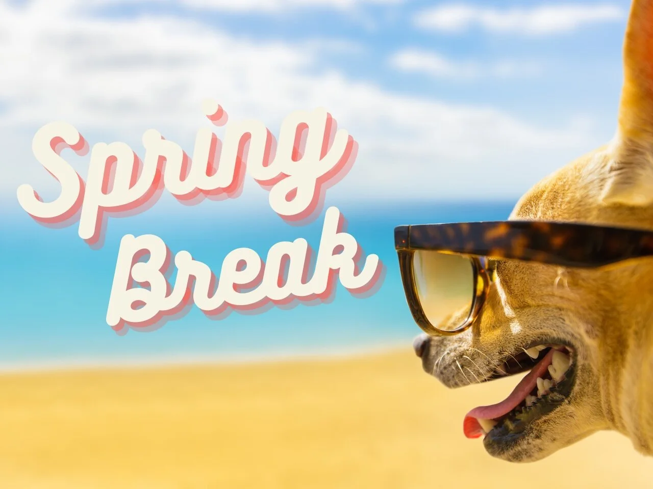 Spring Break 2021