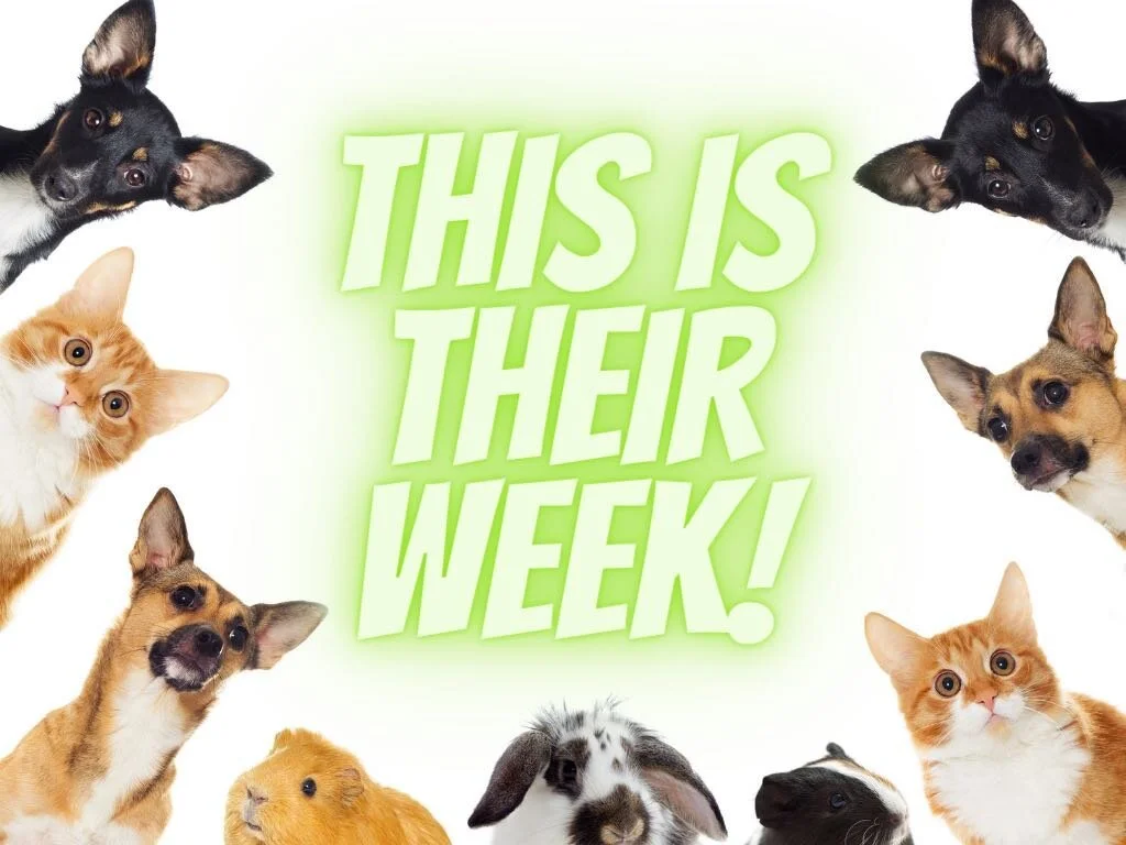 Happy National Pet Week 2021 Nashville!