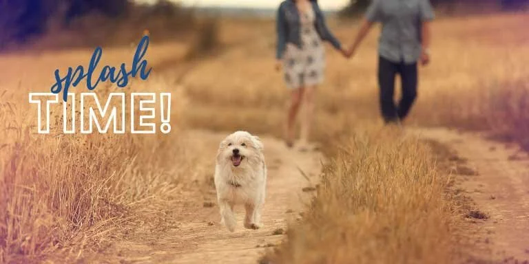 New! Self-Serve Family Packages now available