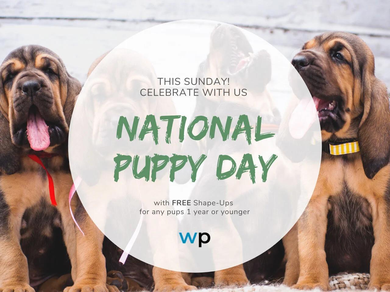 Nashville: Celebrate National Puppy Day with us!
