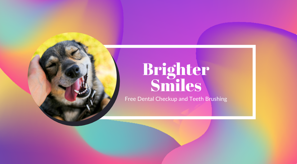 Brighter smiles during National Dental Awareness Month!