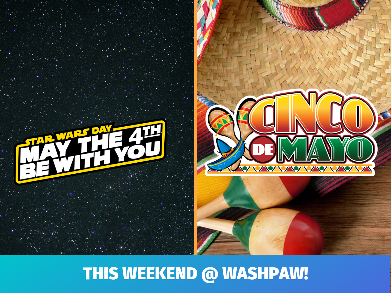 Epic Weekend at WashPaw!