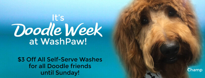 It's a Doodle Week at WashPaw!